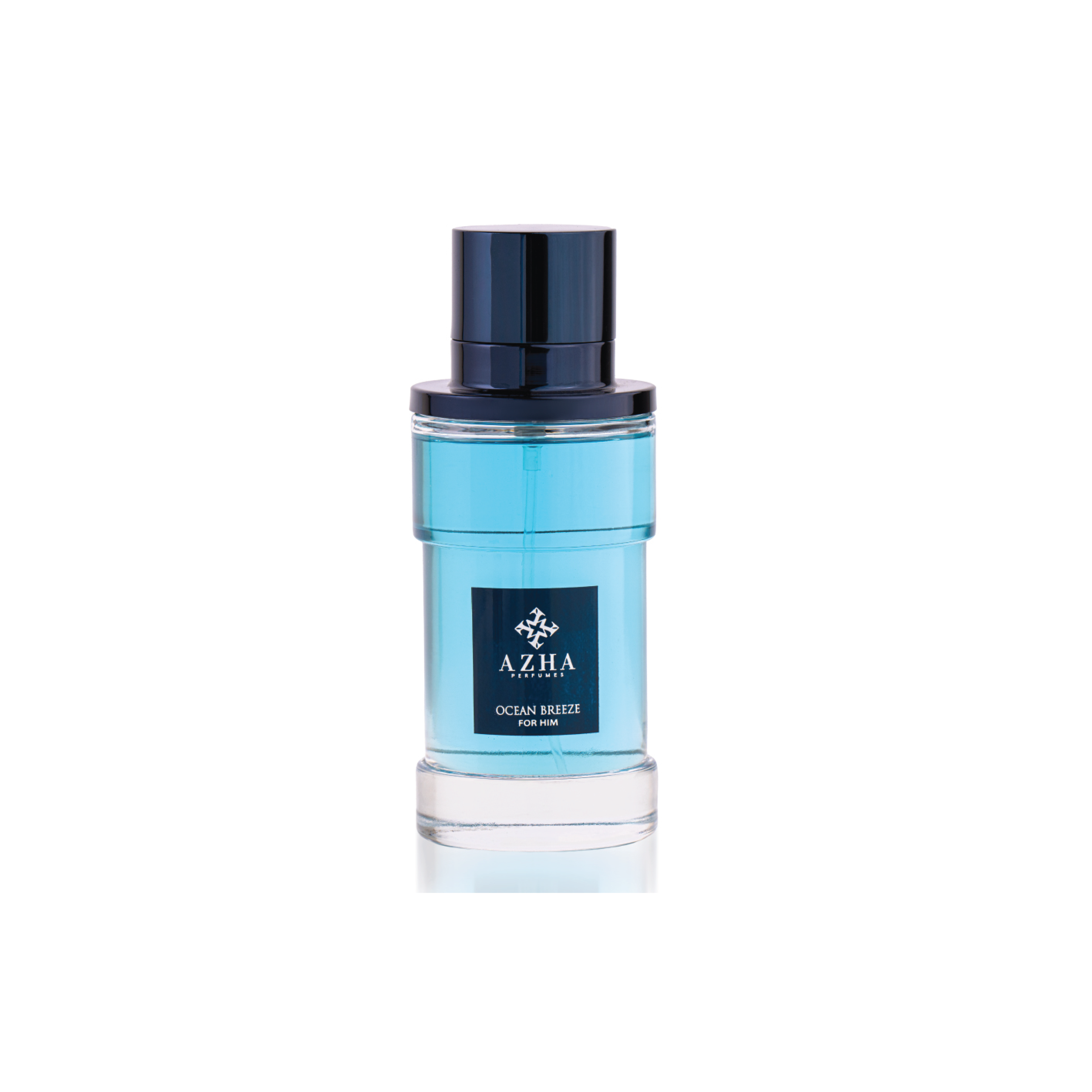 Ocean Breeze Edp 100 ml pour lui